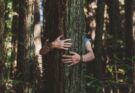 Un oraș canadian recunoaște „dreptul la viață” al copacilor, dar nu al copiilor nenăscuți